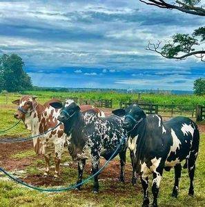 Meet your Posher, Walter